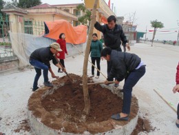 Đoàn xã An Mỹ hưởng ứng Tết trồng cây “ Đời đời nhớ ơn Bác ” Xuân Bính Thân năm 2016