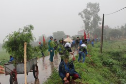 Tết trồng cây xã Quỳnh Lâm