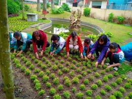 Liên đội tiểu học An Đồng tổ chức lễ ra quân trồng cây đầu xuân 2019
