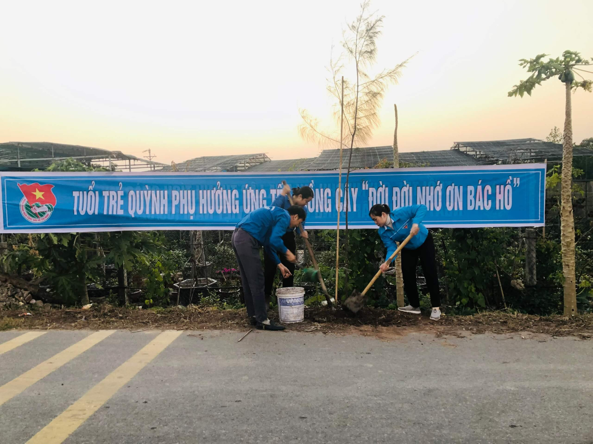 Tuổi trẻ Quỳnh Phụ hưởng ứng Tết trồng cây "Đời đời nhớ ơn Bác Hồ"